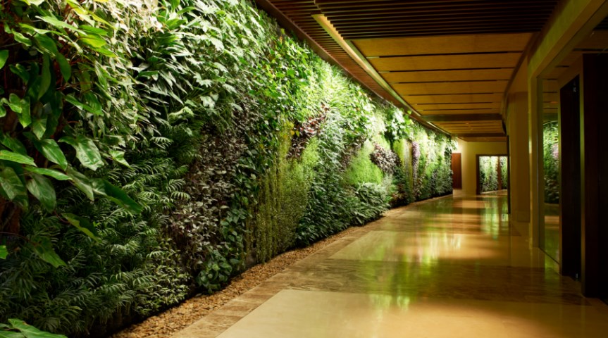 Jasa Vertical Garden BSD