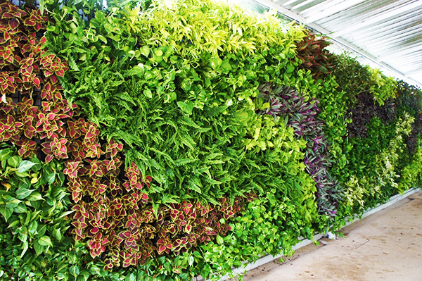 Jasa Vertical Garden Tangerang
